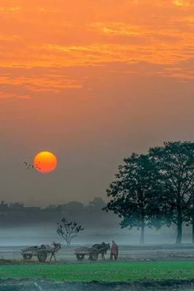 sonuydv87's tweet image. गांव की सुबह शांति, सुकून और प्राकृतिक सुंदरता से भरी होती है, जहाँ पंछियों की चहचहाहट, खेतों की सौंधी खुशबू और ताज़ी हवा मन को मोह लेती है। यहाँ का जीवन शहरों की भागदौड़ से अलग, सरल और शांत होता है, यहां लोग प्रकृति के करीब रहकर एक-दूसरे से जुड़े रहते हैं।

प्राकृतिक सौंदर्य और…