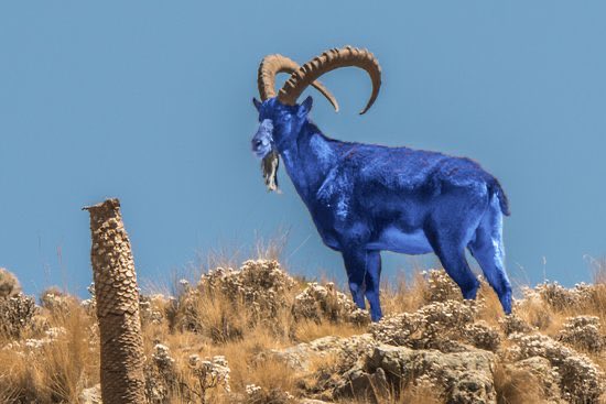 Thank you all for 7k 

Unbelievable that I reached such a number but I appreciate all the support frfr 

Yall the best