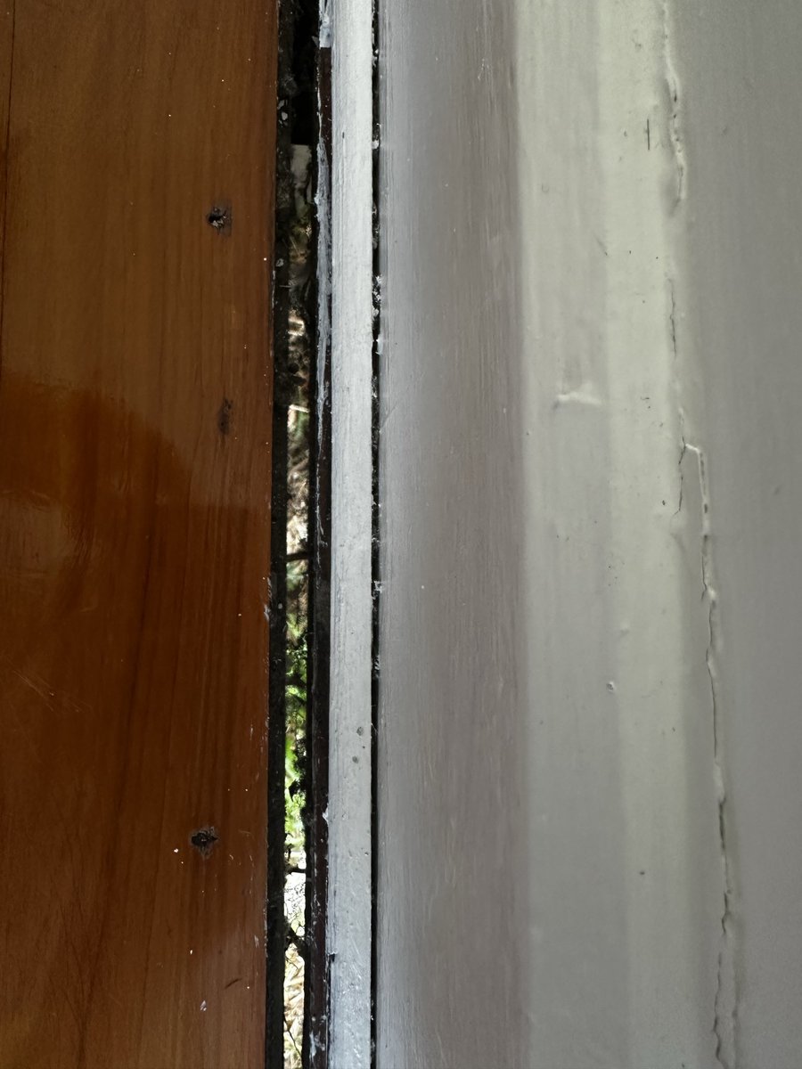 DiscountDeputy 🤡 🤠|| WSaloon || tweet media