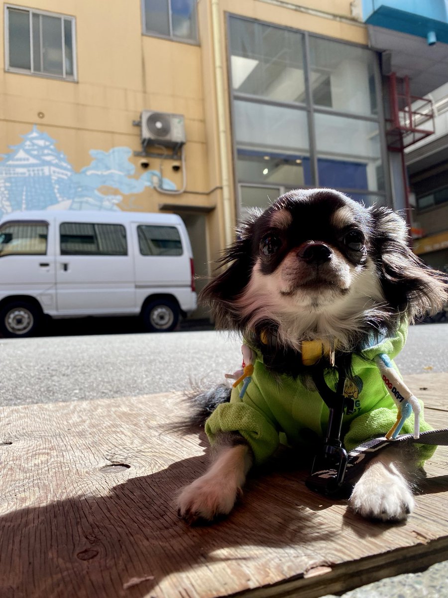 フナケン。@ぱんとも🌈 (@funaken47) / Posts / X