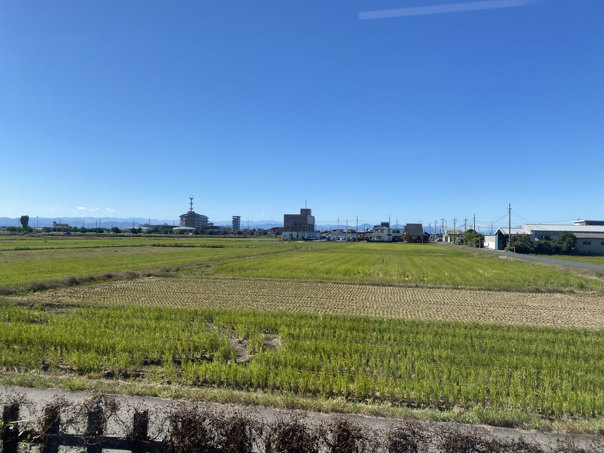 【希少糖】お笑い神経衰弱 爆笑！人間トランプ「お笑いDOJO」50回記念 笑顔。(初回限定盤) | 安野希世乃 | VTZL-148 | FlyingDog