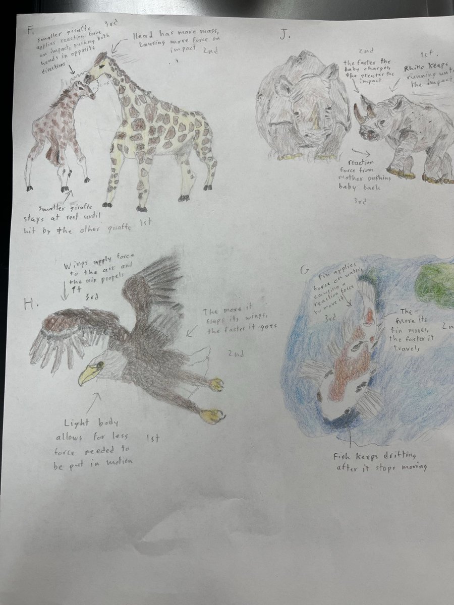 DrDavid_science's tweet image. Winners of the Newton’s Laws Animal Physics competition #scienceisforeveryone #sciencecommunication @sms_jaguars