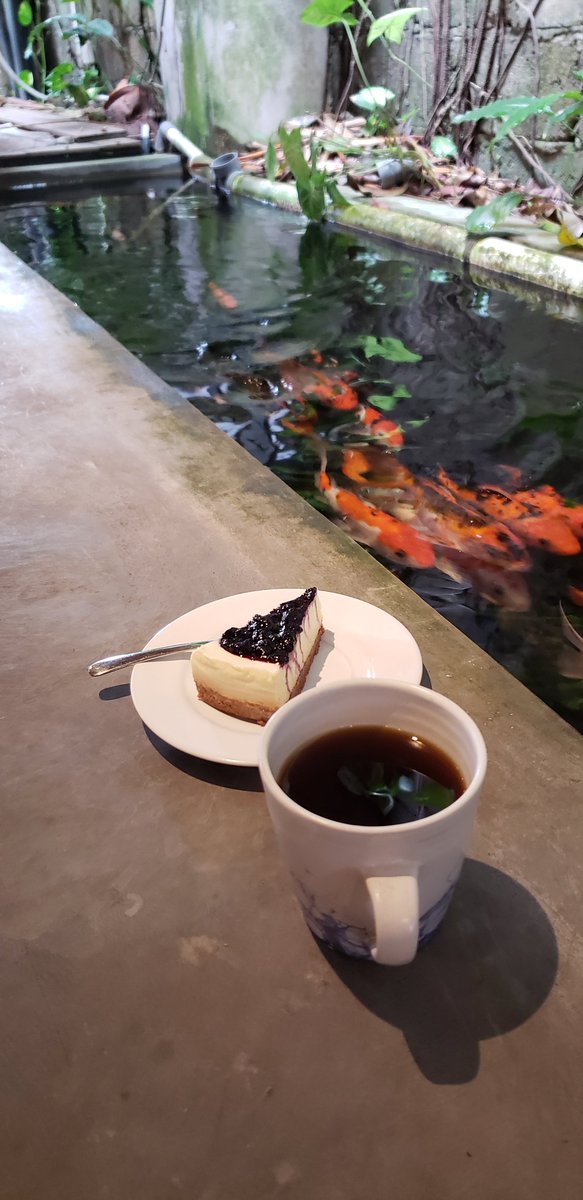 Lama tak sua dengan X