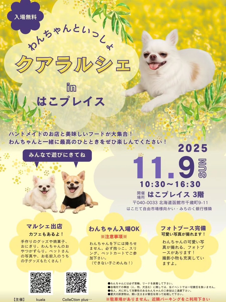 hakoplace2024's tweet photo. こんにちは！ #はこプレイス です。
11/9（日）、はこプレイスでは2回目となる「クアラルシェ」が開催されます！
前回は中の人も楽しませてもらいました♪
ペット連れOKです🐶🐈

覗くだけでも価値ありなマルシェなのでぜひぜひ💓

#クアラルシェ　#マルシェ https://t.co/tVyvPyPZ2k