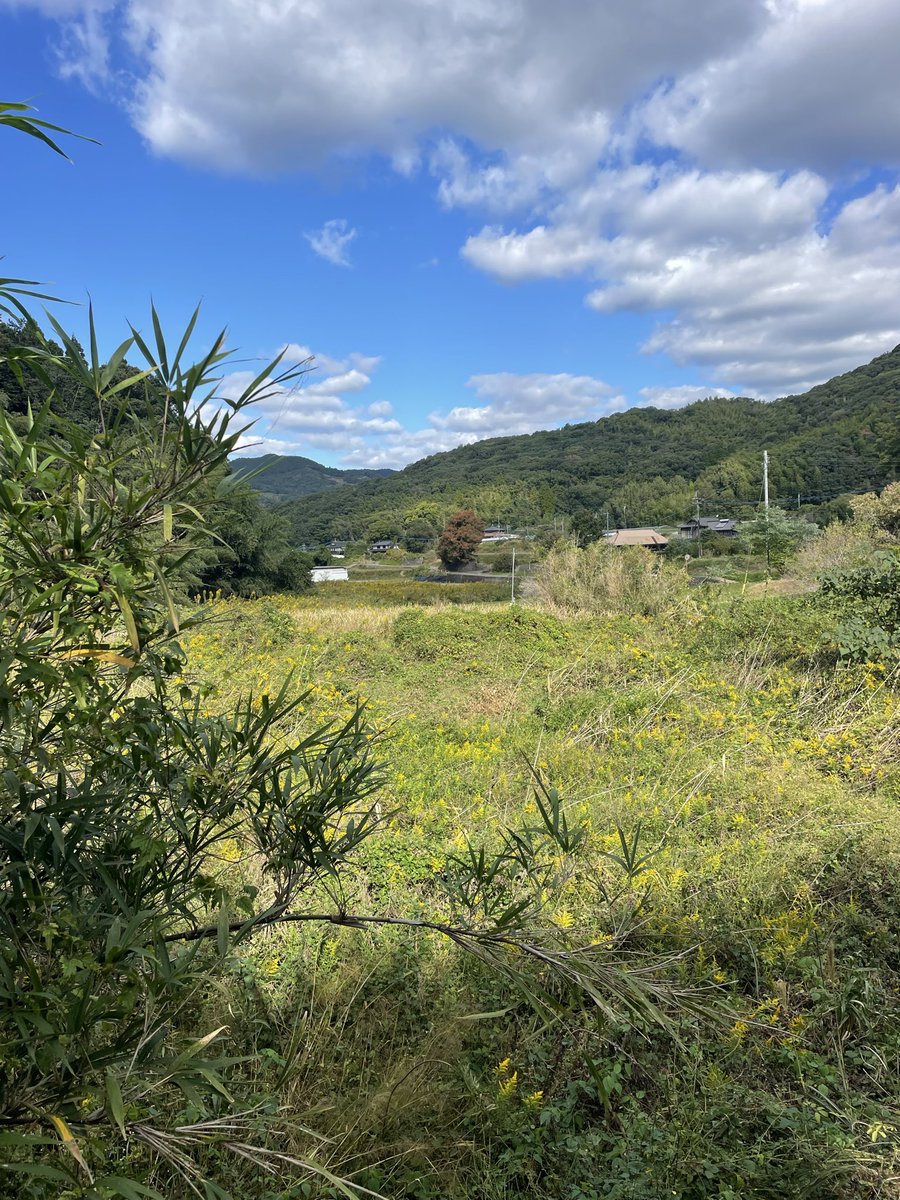 タロイモたろー🍠 on X