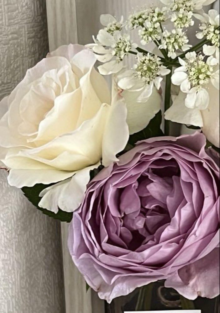 まりりんページ マリリン(sub) on X