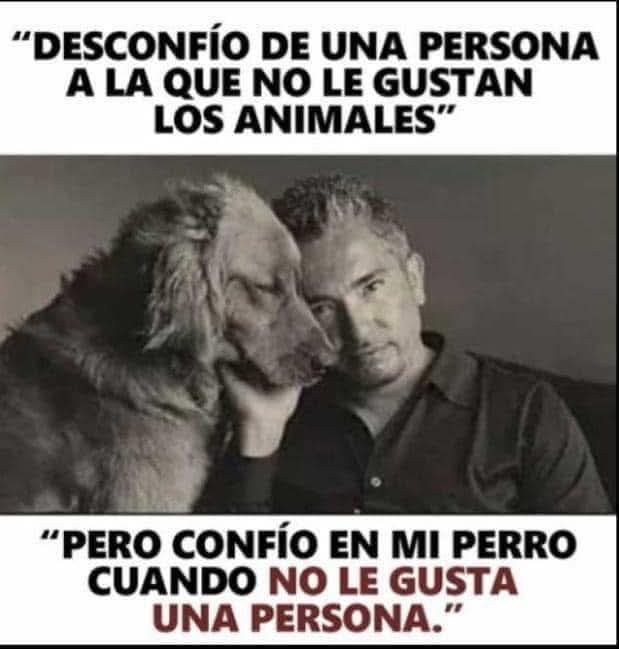 Guadalupe Ramirez tweet media