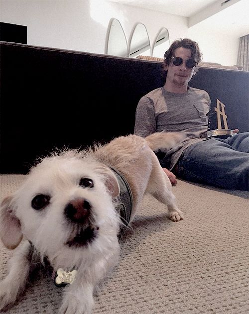 crunchwrap supreme (@captnmayne) on Twitter photo 