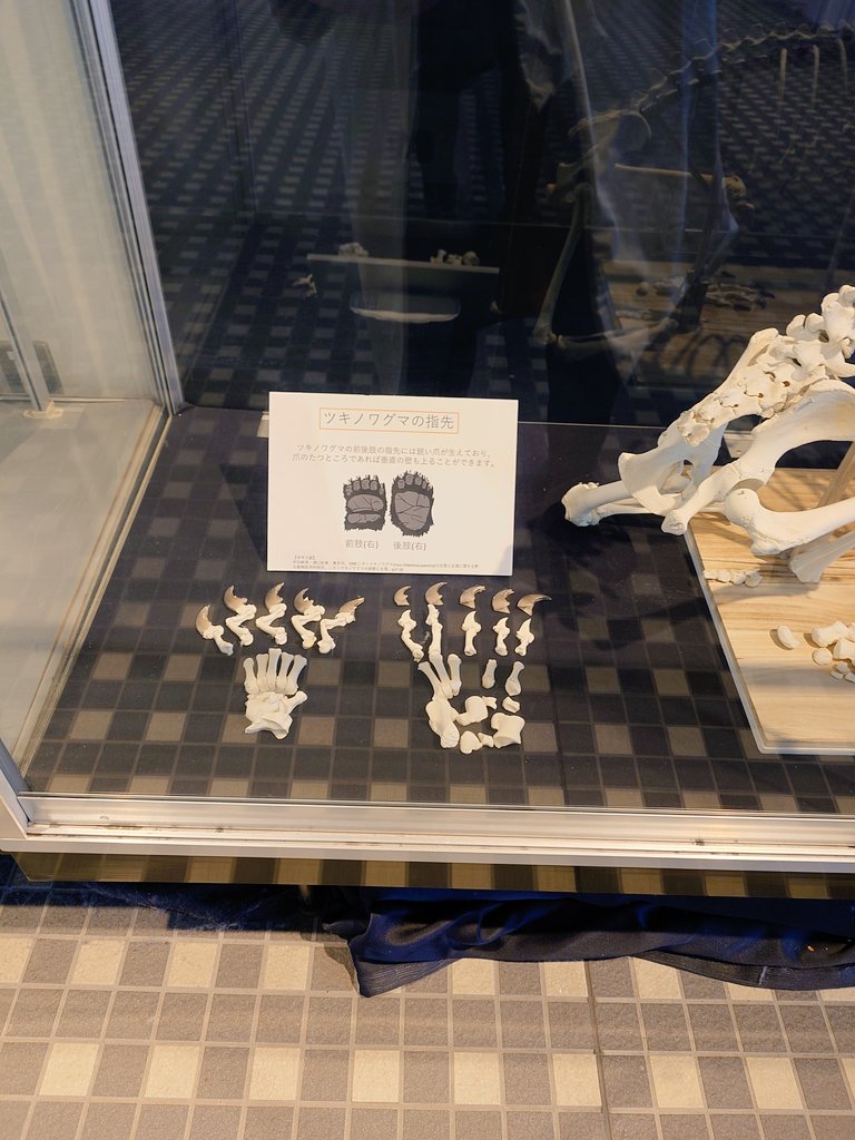 horiguchiitsuko on X