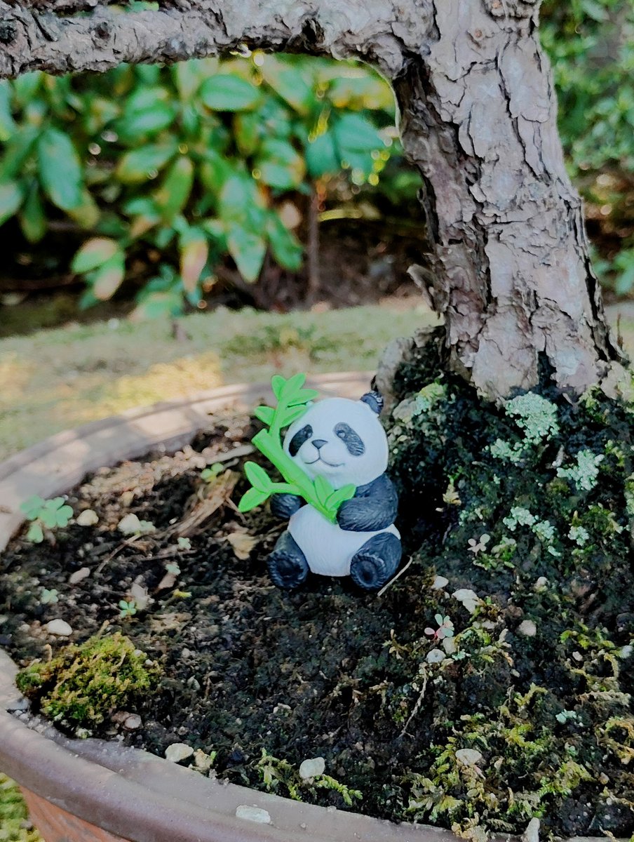 JUN JUN🌸🌸 on X