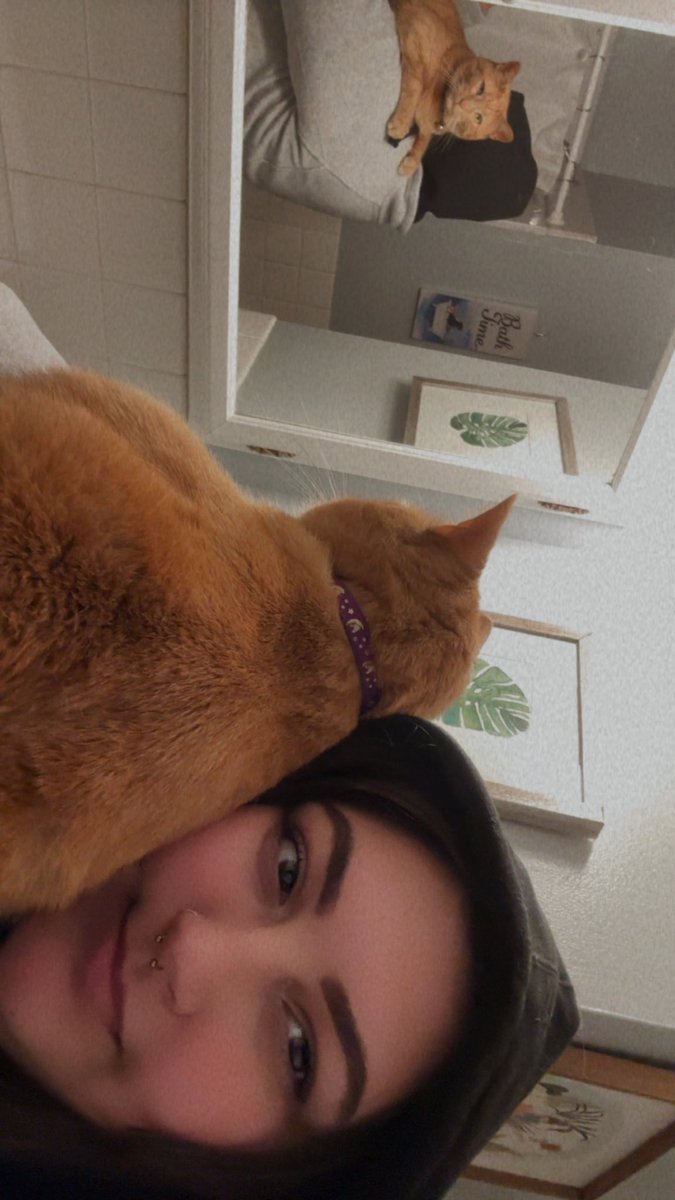 QueenElizabean's tweet photo. I haven’t posted on here in forever, but incase anyone ever looks in on me. I’m doing great, I have an amazing wife, the coolest job, and I usually have a foster kitten or animal of some kind. I love the life I have built 🩷 https://t.co/9K3x3jAzWW