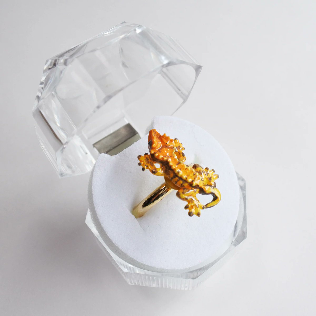 sasacojunior's tweet image. The crested gecko was once thought extinct🦎
After vanishing in the 1930s, it was rediscovered in New Caledonia in 1994—a true miracle of nature.
Now bred worldwide, this gentle gecko reminds us how fragile yet resilient life can be💚
#CrestedGecko #ArtistOnX #HandmadeArtist