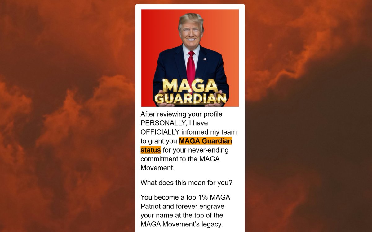 THE MINUTEMAN FILES: tweet media