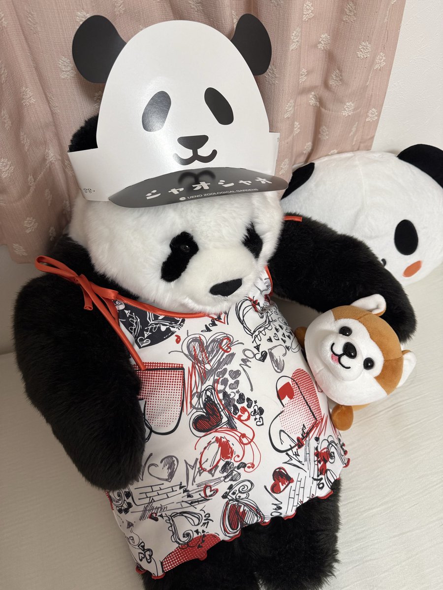 パンダ産みたい (@SaBO5iZy9jR503A) / Posts / X