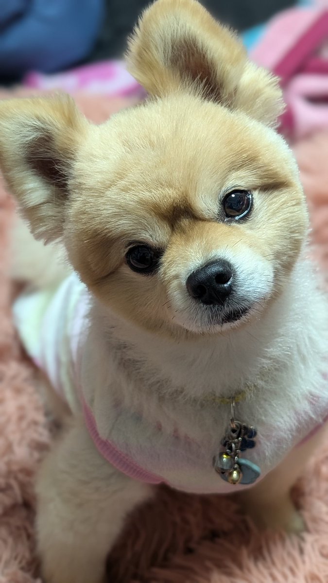 れもんれもんれもん setoda8_sub01.jpg