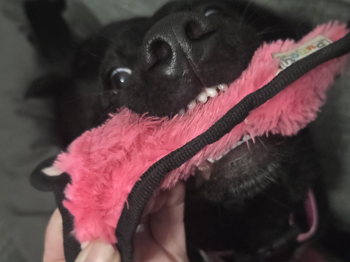 Teefs