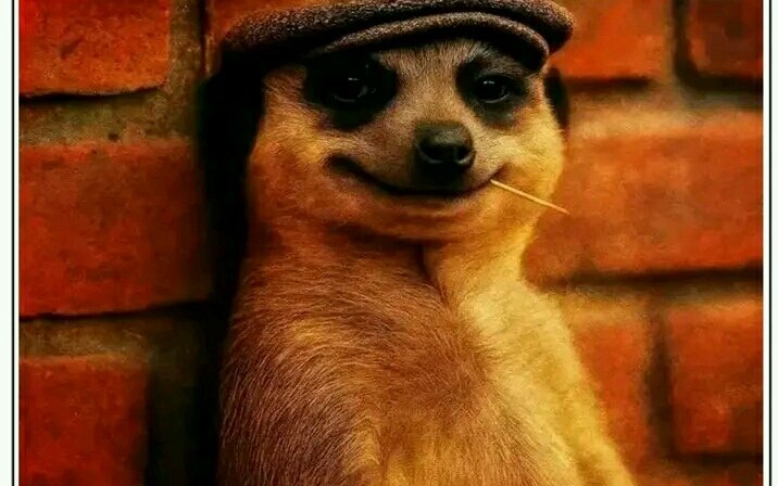 DanielFenelus2's tweet image. I, who already know the truth about what is happening and what will happen soon.
#PiNetworkMainnet