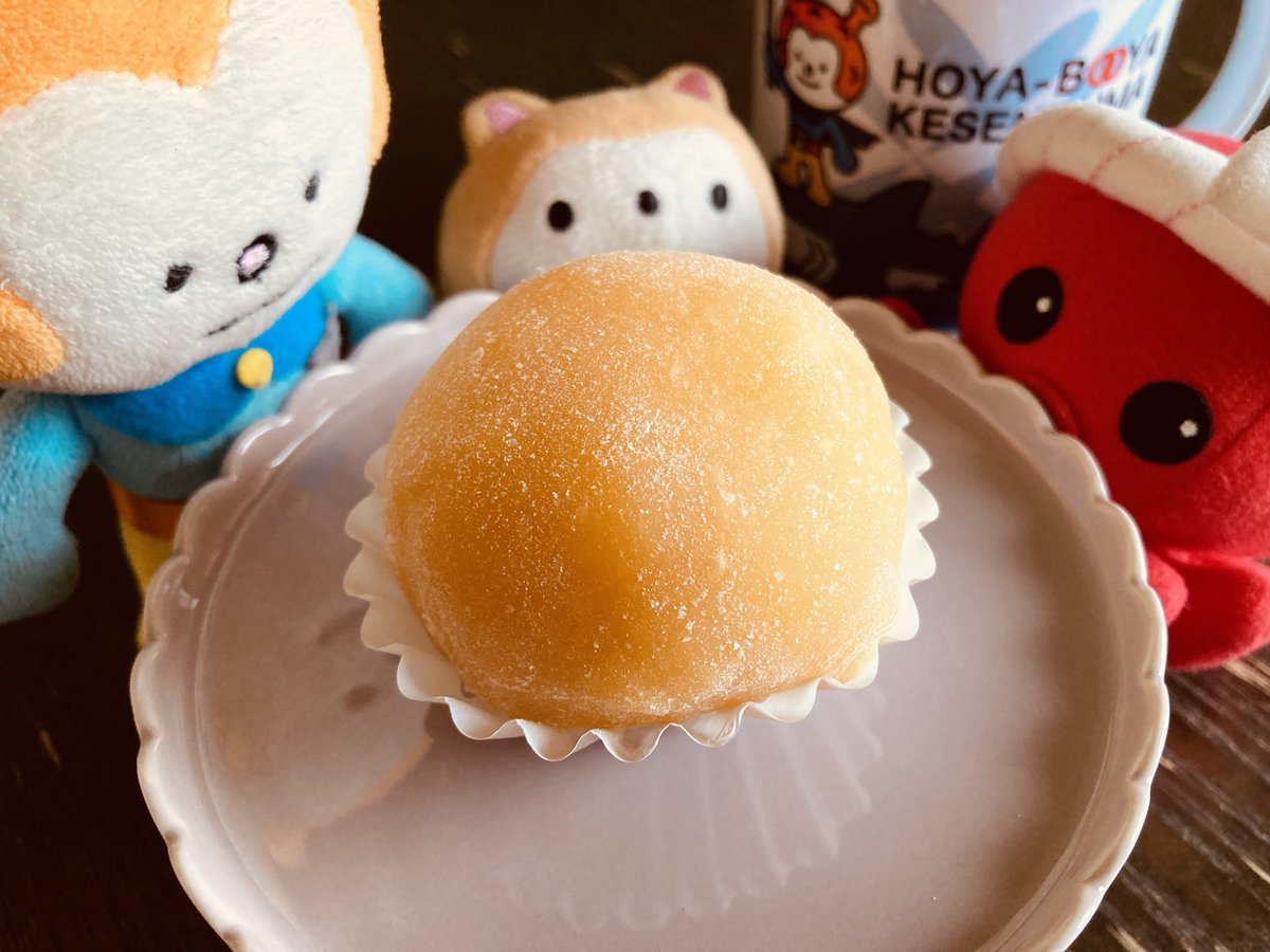 もこ日記 (@nokokko1) / Posts / X