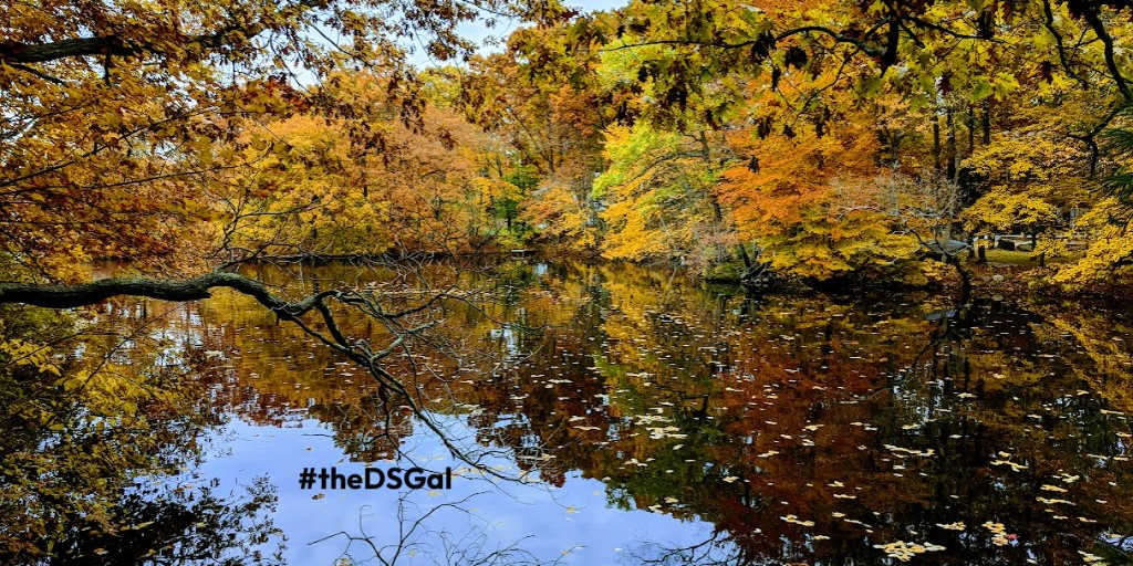 PariseauGroup's tweet image. 🍂 🎃 The season of falling leaves, warm drinks &amp;amp; cozy sweaters has arrived. 🧣☕ 
#Octobervibes #fallfavorites #cozyvibes #fallmoods #autumnmagic #pumpkinspiceeverything #lovethefall #smile #bekind #beagoodneighbor #PariseauPropertiesGroup #theDSGal
📷: @theDSGal