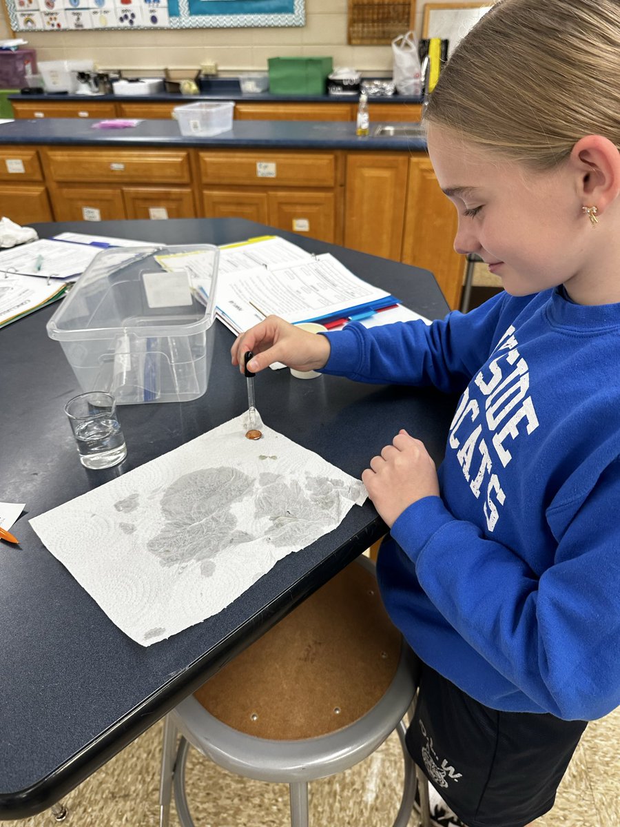 msgriesmeyerOLW's tweet photo. 6th grade is working through the parts of a scientific investigation by testing how many drops of water fit on a penny. @olwschoolAH https://t.co/pRrHNnmZSf