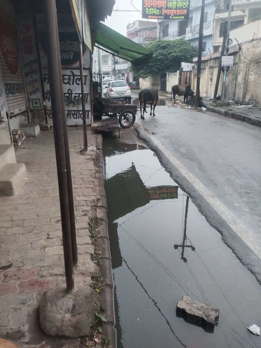 krishnapagal's tweet photo. @SwachhBharatGov kanpur nagar nawabganj opposite old PNB Chauraha  सभी नालियां जा में पानी रोड पर ओवरफ्लो कर रहा है नाले का गंदा पानी सुबह लोग मंदिर जाते गंगा जी जाते तो नाले के पानी से होकर जाते हम लोगों ने सारा त्यौहार ऐसे ही मनाया दीपावली के त्यौहार में भी सफाई नहीं हुई https://t.co/sShp5v1gtm