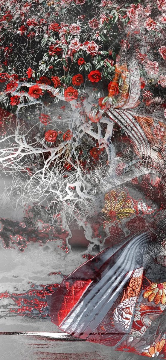 kaokaoasana様 ZX-14 BLACK CONTRAST DIAMOND CUT “ZX” FORK CAPS 2006-2024