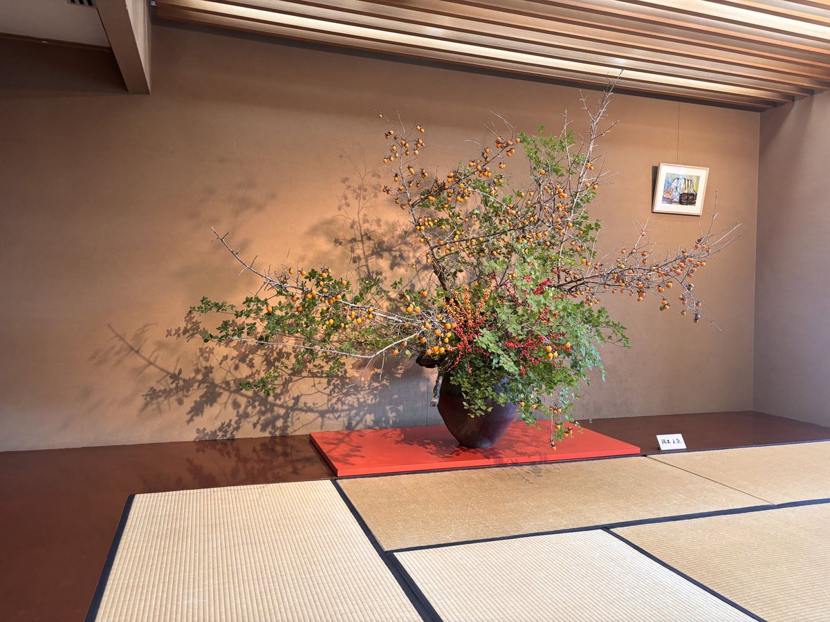 自然写真家 ハンヌハウタラ 写真集 Nature in the Kalevala 自然写真家