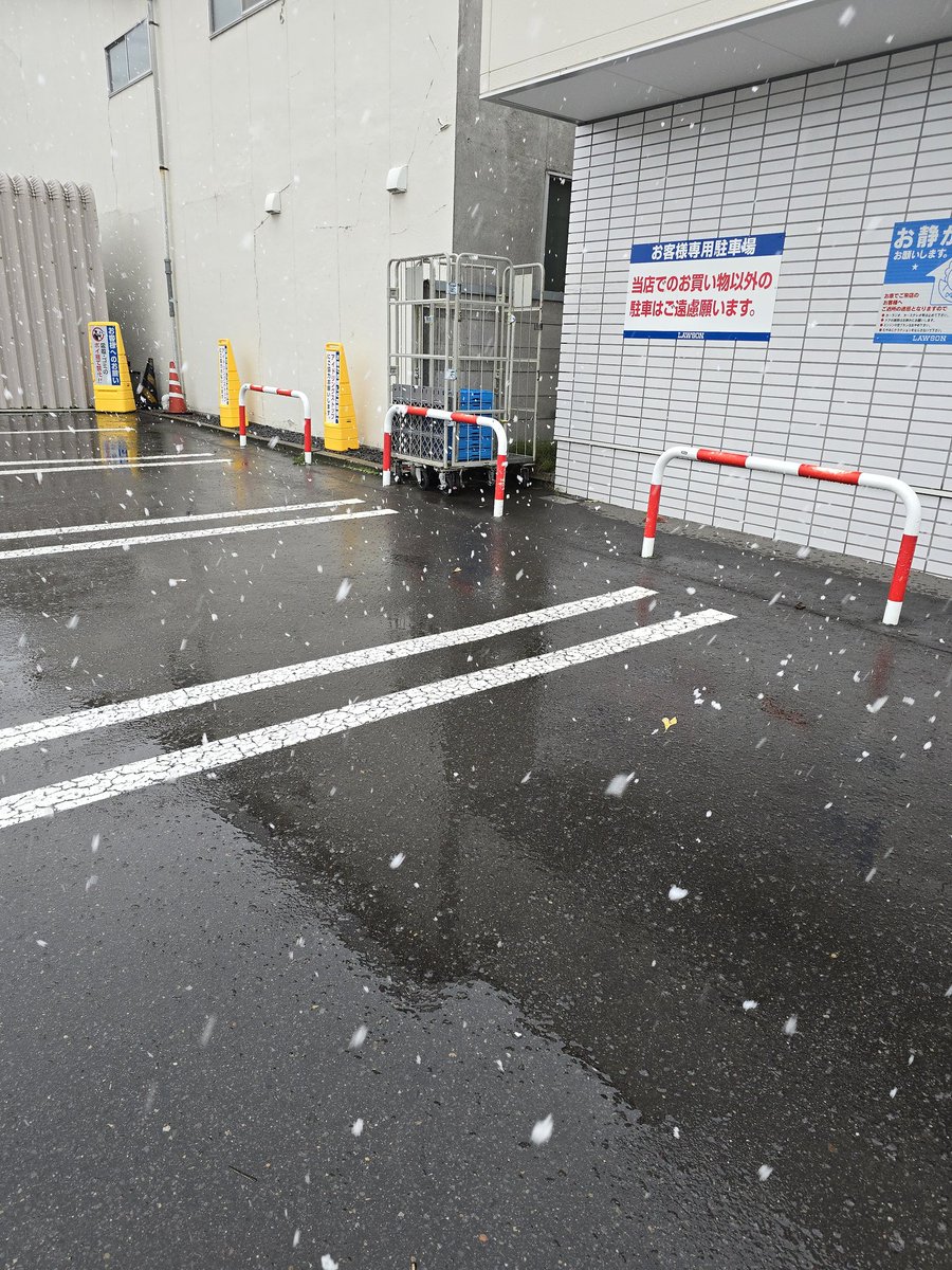 [専用出品]さざえ サザエ on X