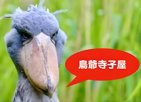 ちょんまげ様ありがとうございます。 鳥爺本舗 on X