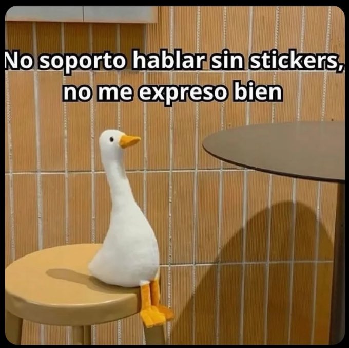 nacional_memes's tweet photo. 🐱 https://t.co/DMat3sJHfH