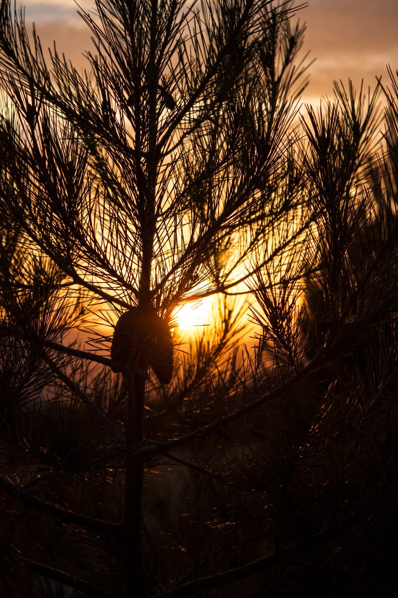 k9ghostsniper tweet media