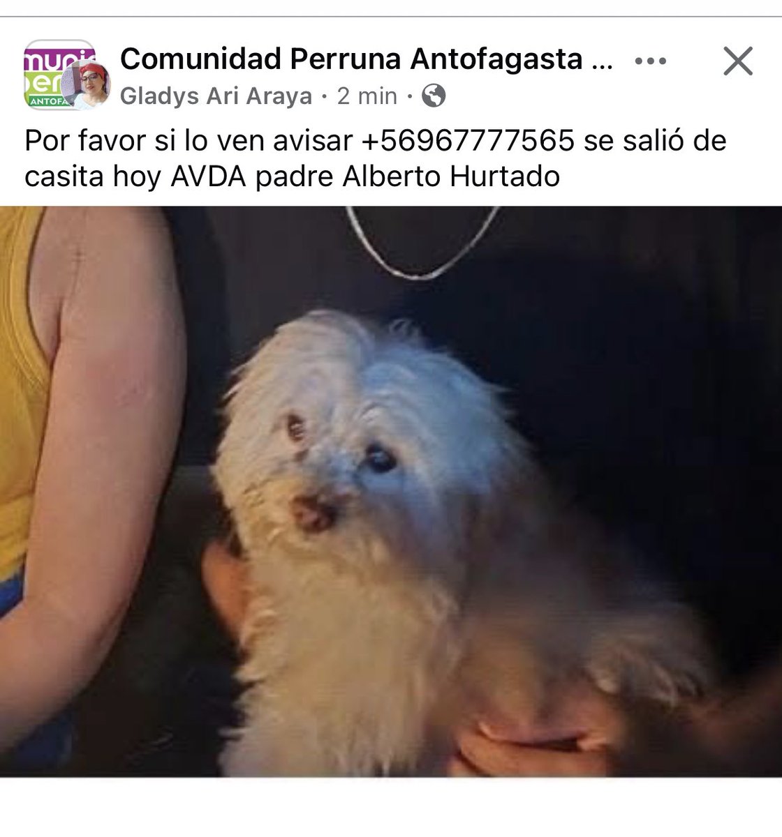 🚨🚨🚨🚨🚨🚨🚨🚨🚨🚨🚨🚨🚨#Antofagasta