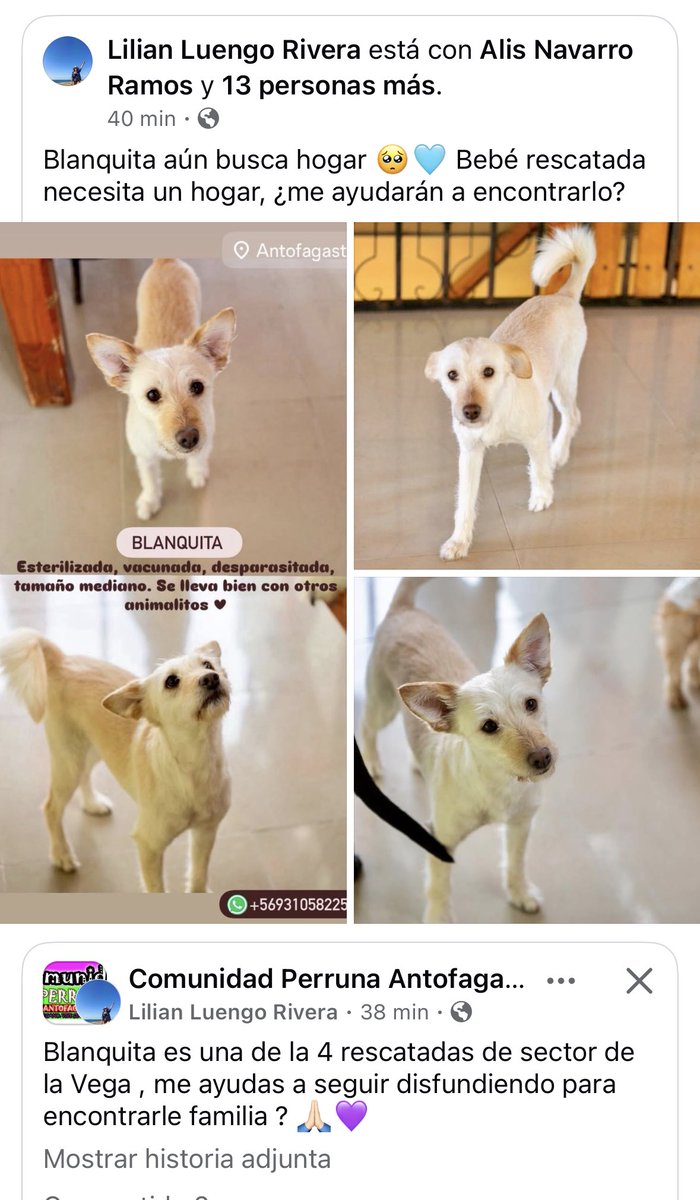 🚨🚨🚨🚨🚨🚨🚨🚨🚨🚨🚨🚨🚨#Antofagasta