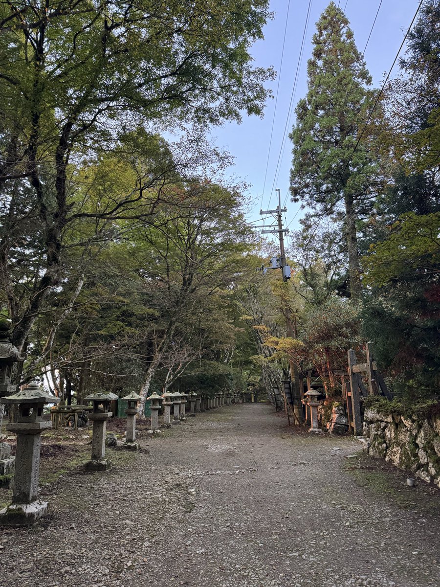 Чудо-дерево(不思議な木)

幼児用絵本　洋書 しんちゃん on X