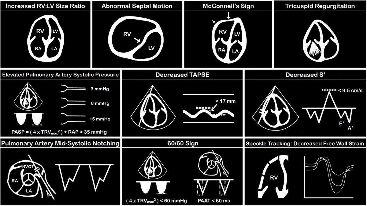 SAlerhand tweet media