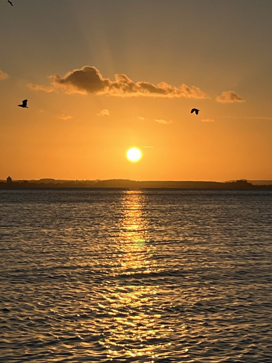 Entardecer com o pôr do sol de hoje.
Praticamente sem nuvens.
Visto a partir da orla do Guaíba. 
<a href="/metsul/">MetSul.com</a>