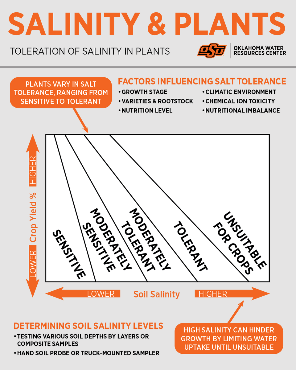 Did you know that plants can vary in salt tolerance, ranging from sensitive to tolerant?

Factors, including growth stage, varieties, nutritional imbalance and more can affect salinity tolerance and crop yields in plants.

Our Conjunctive Freshwater Saltwater Management project