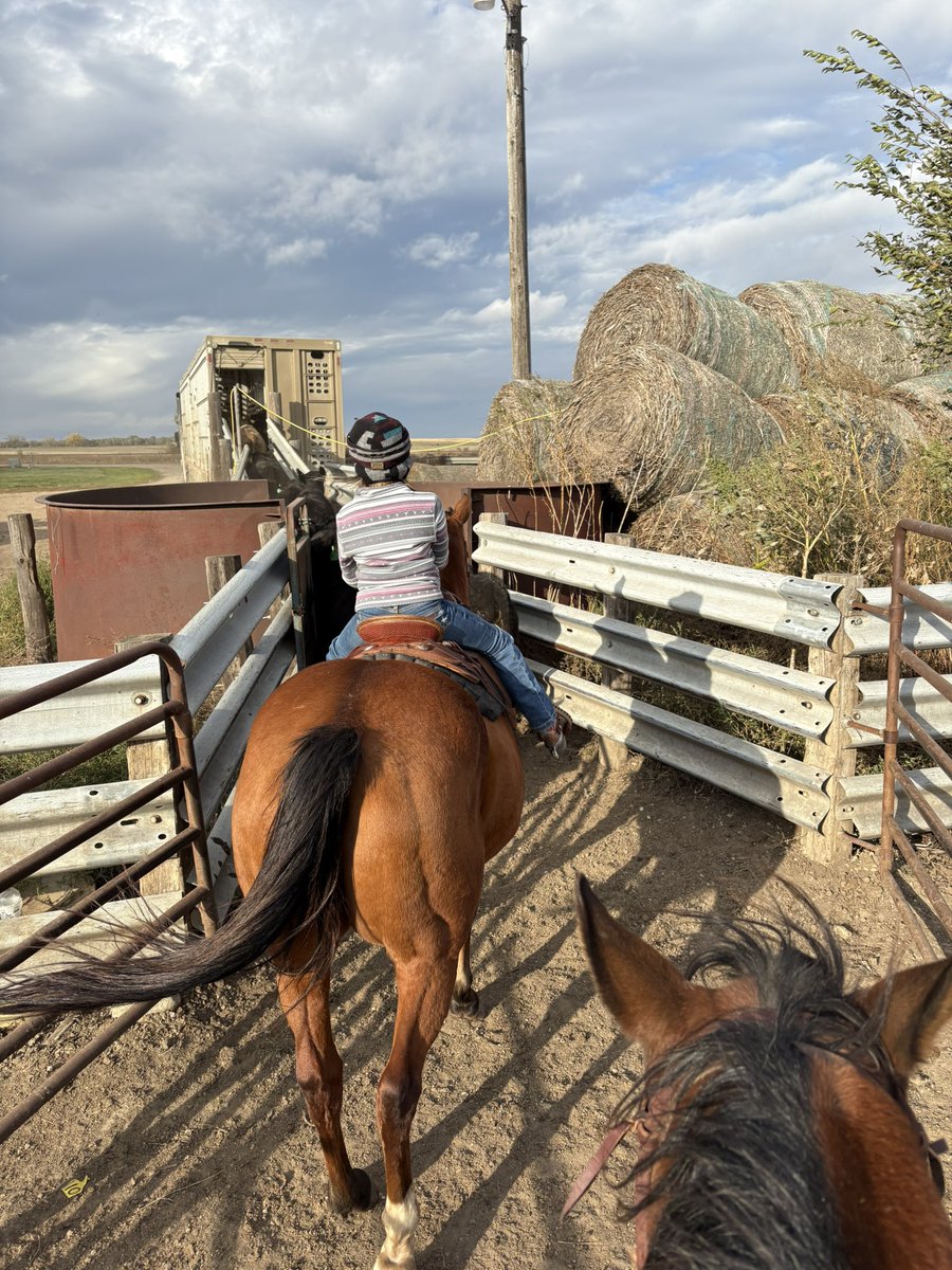 Tales from the Feedyard (Uncensored) tweet media