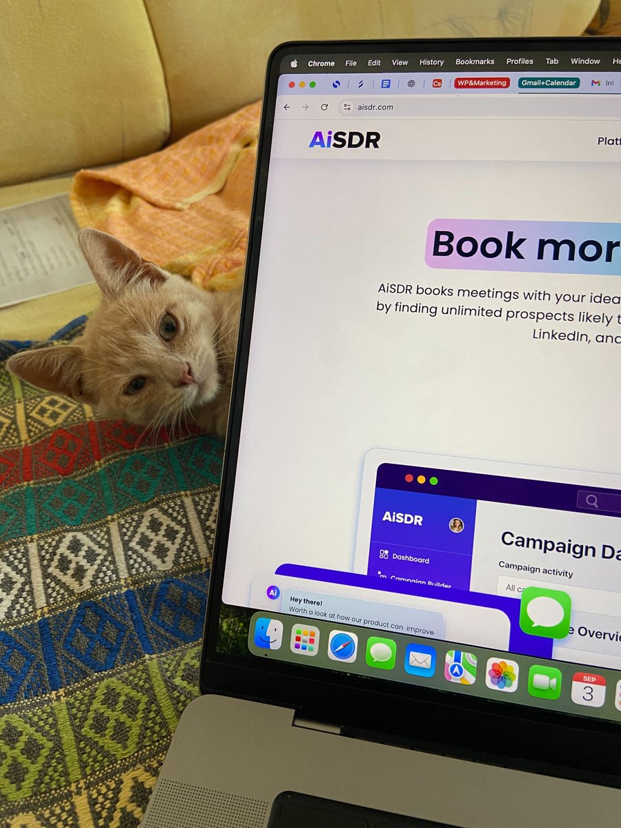 getaisdr's tweet image. Our dedicated meow-gineer is always glad to assist 😺😇

#AiSDR #GTM #SalesHumor #CatsofStartup #RemoteLife