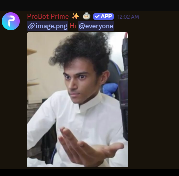 TANK49_'s tweet image. Yes @TryProBot is hacked.

#ProBot Server Support on discord just randomly mentioned everyone with &quot;hacked&quot; here what I got:

🪦  Feb 19, 2017 ~ 28 Oct, 2025