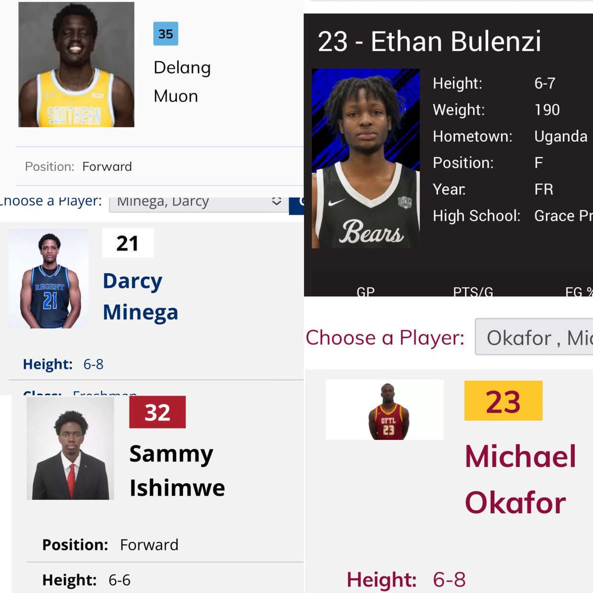 Brad Shauf tweet media