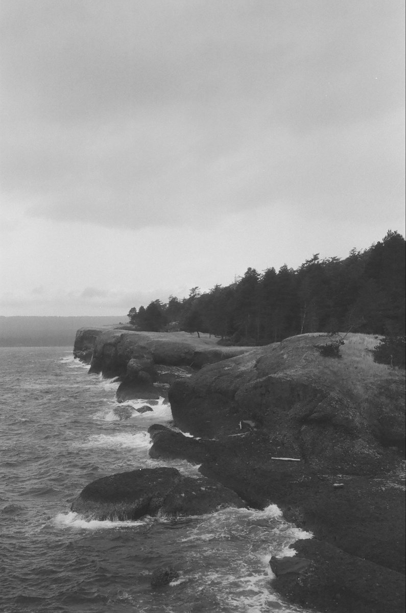 seanskishay's tweet photo. A we(s)t coast wedding https://t.co/Gj2o6DCd5j