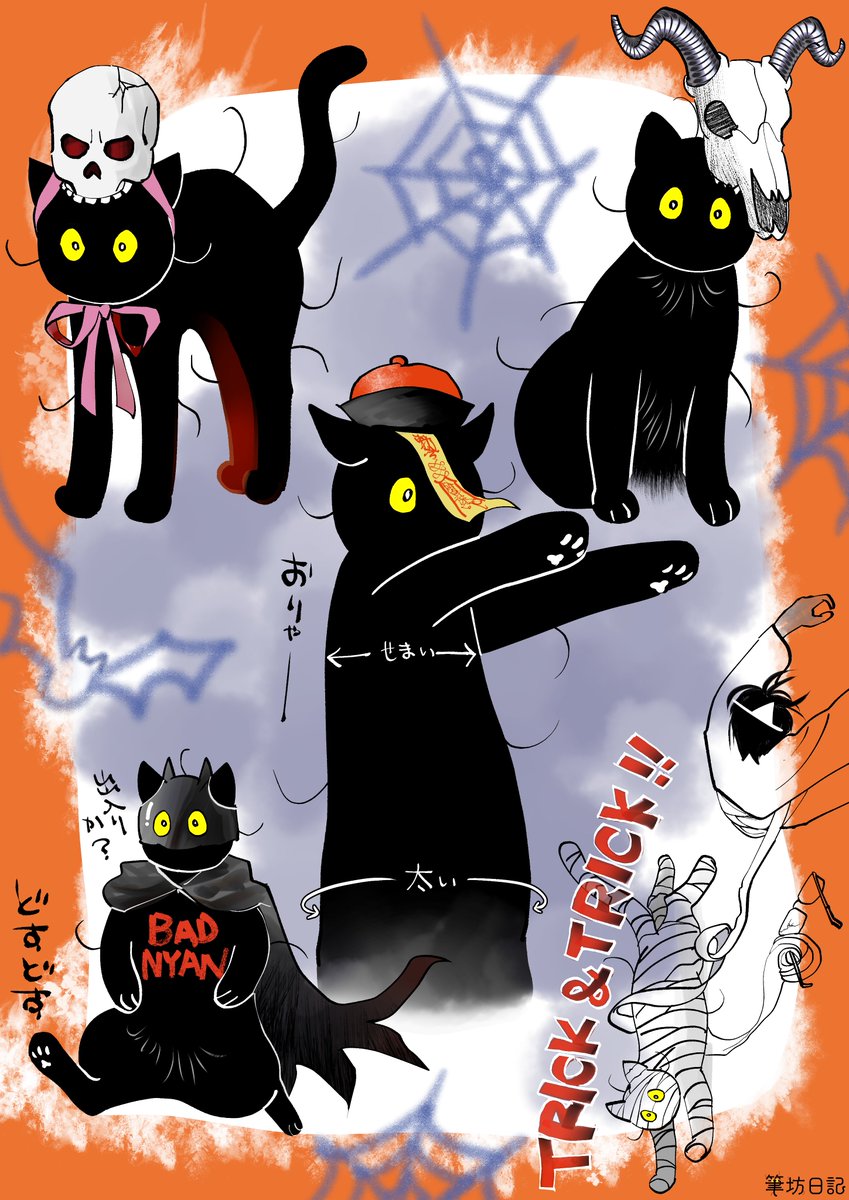 雨の日のねこ様♡ありがとうございます♡ 雨の日のねこ様♡ありがとうございます♡ 猫 on X