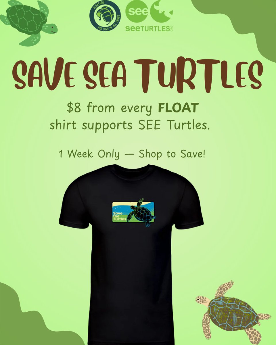 SEEturtles's tweet image. Exciting news! SEE Turtles  x @FLOATapparel  

For 1 week only, $8 from every FLOAT shirt goes to protect endangered sea turtles worldwide. 

Shop now ➡️ float.org/collections/se…

#SEEturtles #FLOATforWildlife #SeaTurtleProtection #PlasticFreeOcean