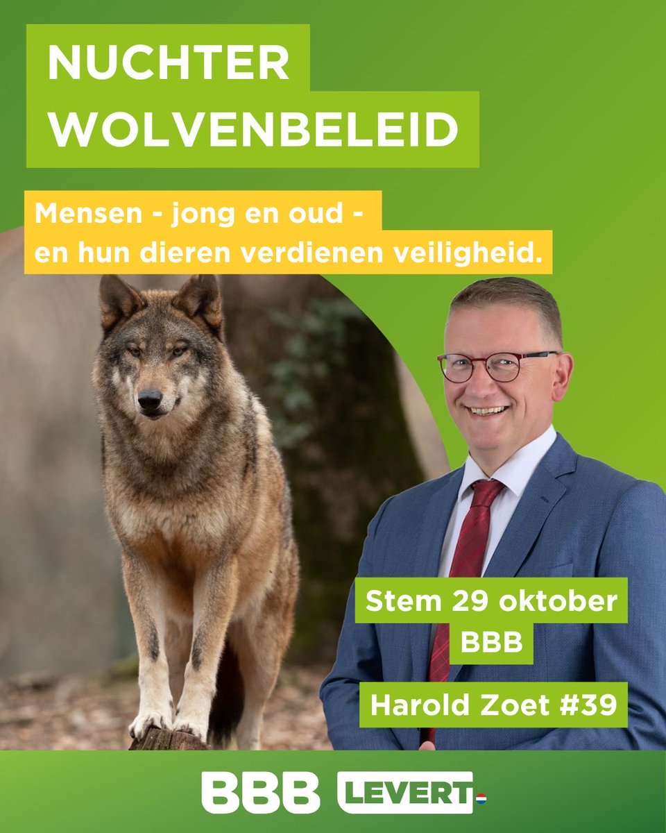 Harold Zoet (@zoetharold) on Twitter photo 