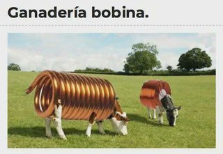 Si te sigo eres un tibio #TibiosDeCojones🍁 tweet media