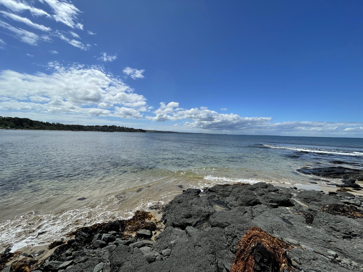 undeadgengars's tweet photo. beach https://t.co/A3FC3eWn7z