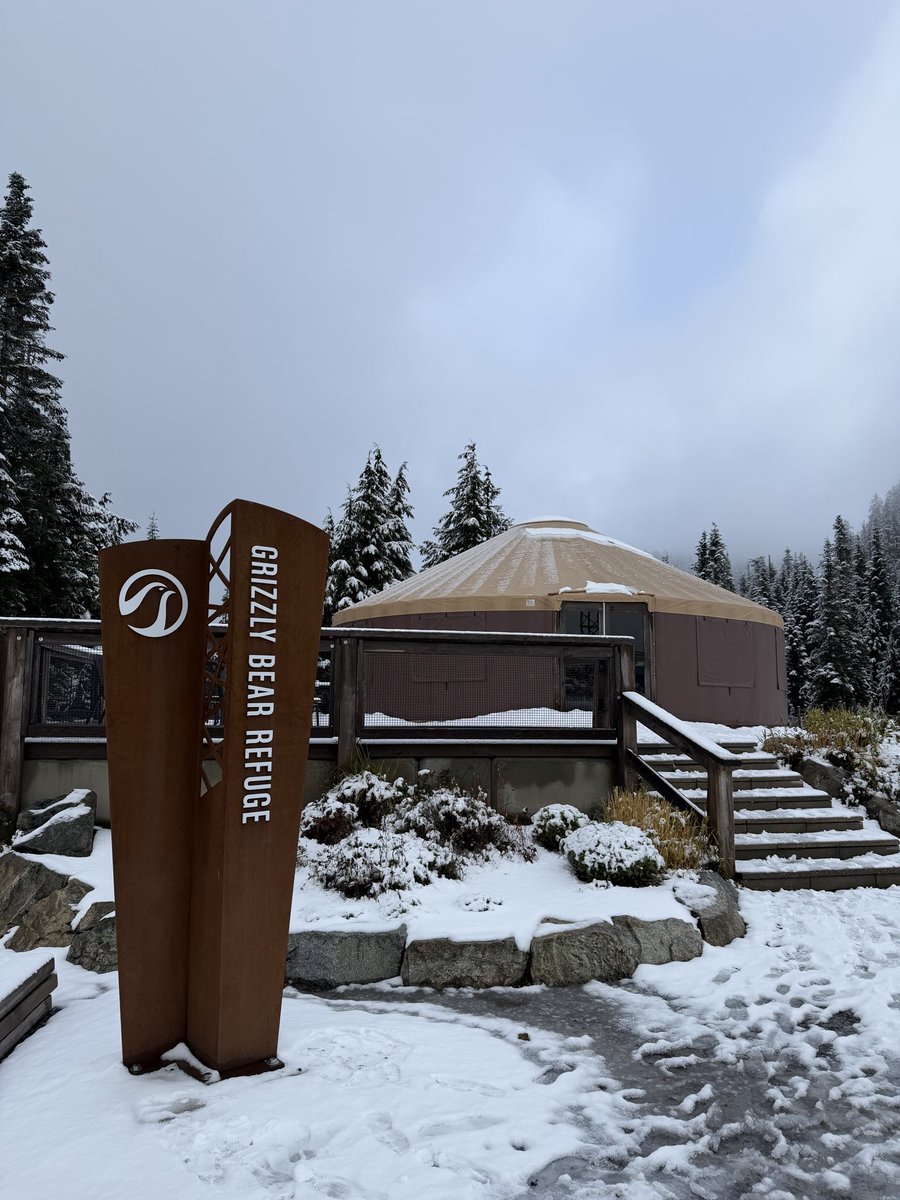 ItsKrisTatum's tweet photo. An unforgettable birthday celebrating in sub zero temperatures at Grouse Mountain in Vancouver, seeing grizzly bears up close 🎂🐻🗻🇨🇦 https://t.co/FspC8uGeNO