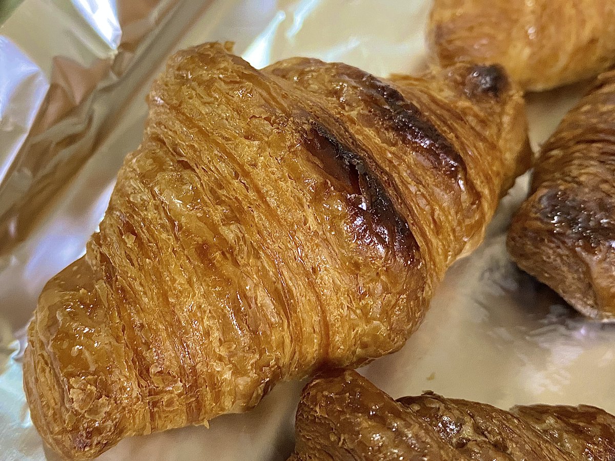 マロンまろん (@3580_maron) / Posts / X