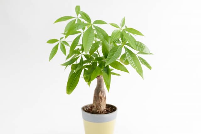 katy1953 （♂🇯🇵政治に興味を🇯🇵） on X